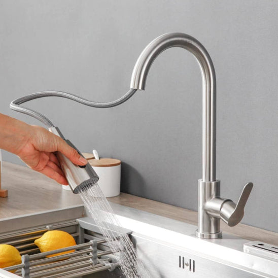 douchette mitigeur cuisine argent pression aquaTwist