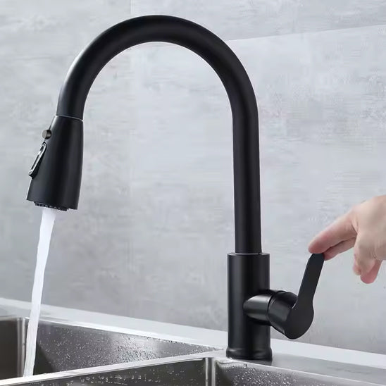 douchette mitigeur cuisine noir pivotant aquaTwist