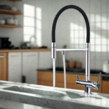 douchette robinet cuisine argent pivotant royaJet