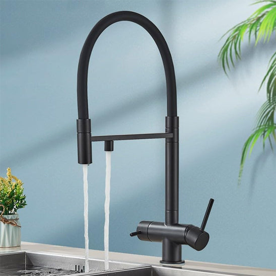 douchette robinet cuisine noir pivotant royaJet