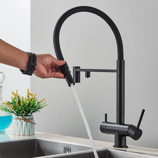douchette robinet cuisine noir pulverisateur royaJet