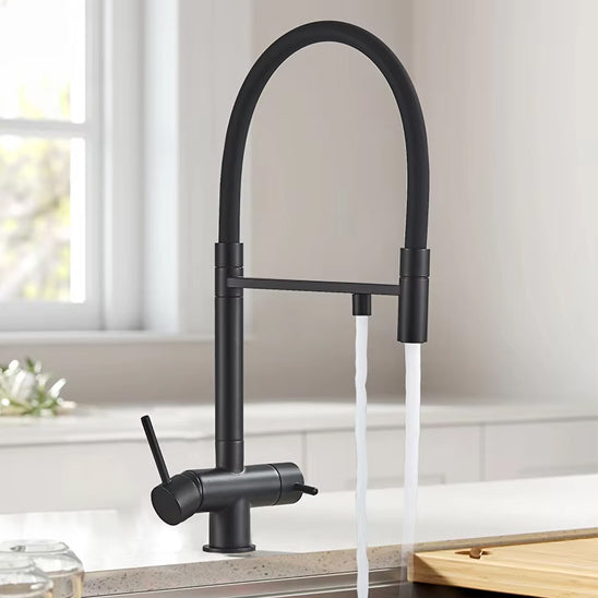 douchette robinet cuisine noir pulverisateu royaJet