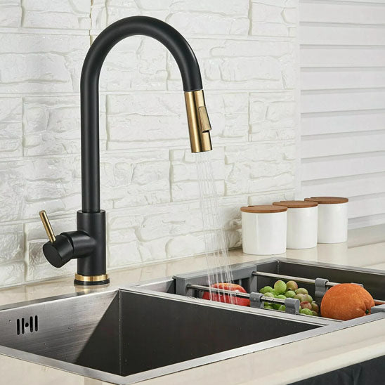robinet douchette cuisine noir filtre robiRex