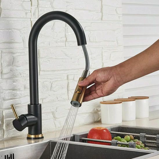robinet cuisine douchette noir design robiRex