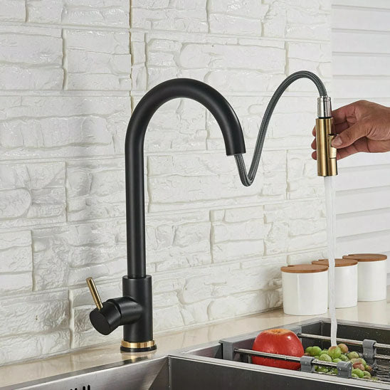 robinet douchette cuisine noir-flexible robiRex