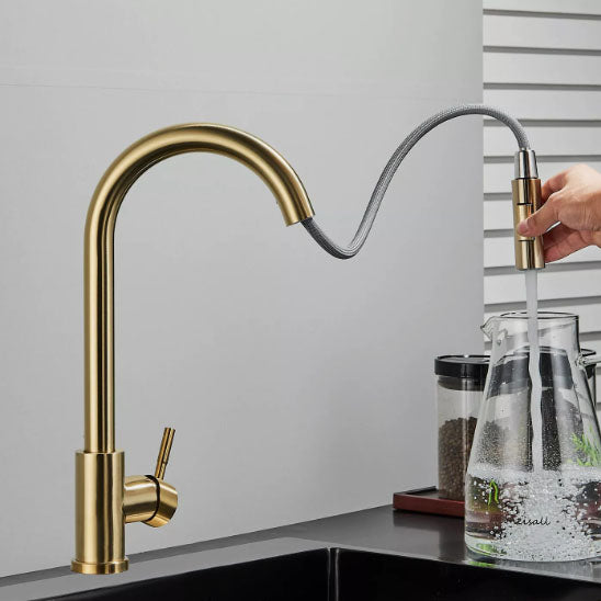 robinet douchette cuisine or flexible robiRex