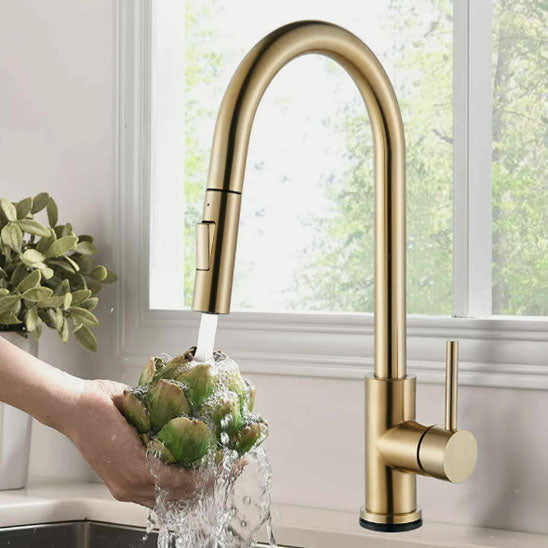 robinet douchette cuisine or style robiRex