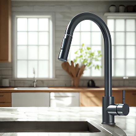 robinet douchette noir style aquaRoi