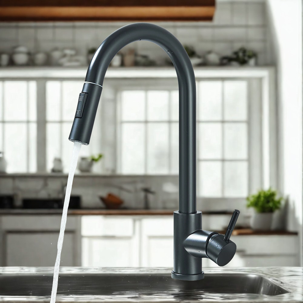 robinet douchette noir pulverisateur aquaRoi