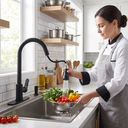 Douchette mitigeur cuisine AquaTwisa