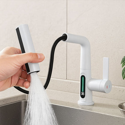 Mitigeur cuisine douchette moderne AquaTwist
