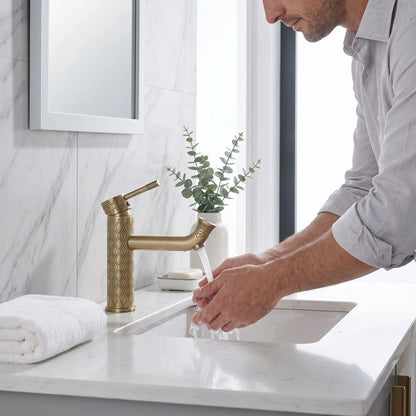 Mitigeur lavabo fleur HydroFlexio 