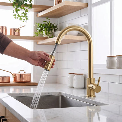 Robinet douchette cuisine  moderne RobiRex
