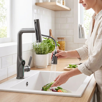 Robinet à douchette cuisine réglable HydroFlexio