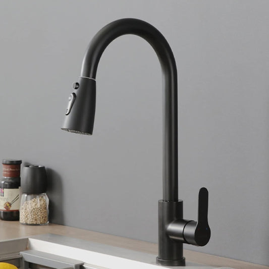 douchette mitigeur cuisine  noir inox 	aquaTwist