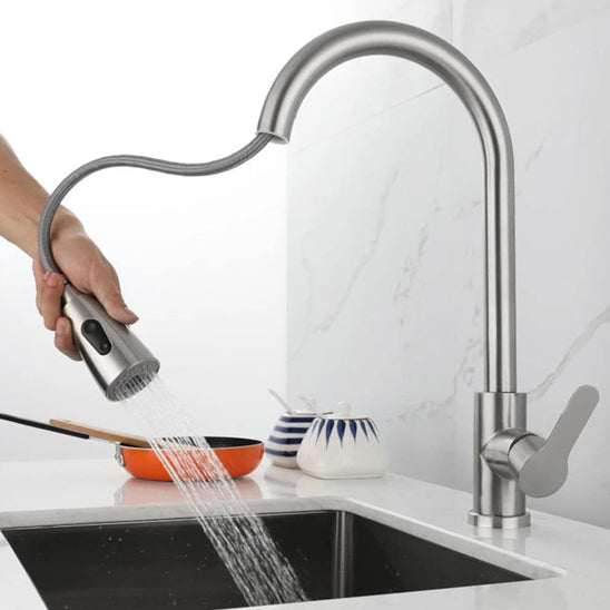 douchette mitigeur cuisine argent aquaTwist extensible