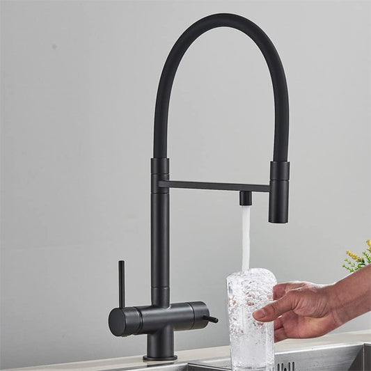 douchette robinet  cuisine noir flexible royaJet