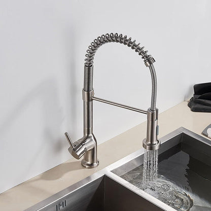 mitigeur cuisine douchette argent pullinox