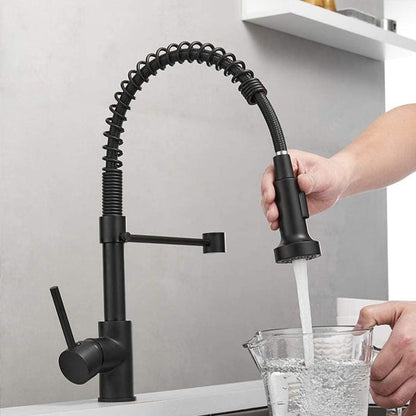 mitigeur cuisine douchette noir pullinox