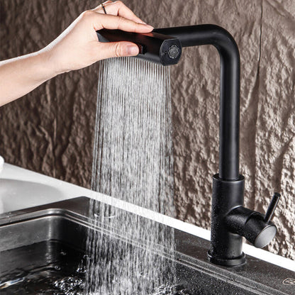 mitigeur cuisine douchette noir style 	jetinox