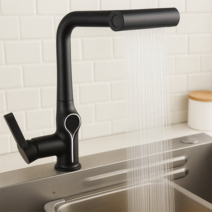 robinet a douchette cuisine noir hydroFlexio