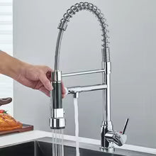 robinet cuisine douchette argent	flexiCrown