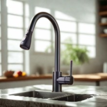 robinet cuisine douchette noir filexcible jetRoyal