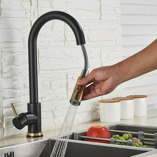 robinet cuisine douchette  noir design 	robiRex